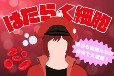 saibou-movie